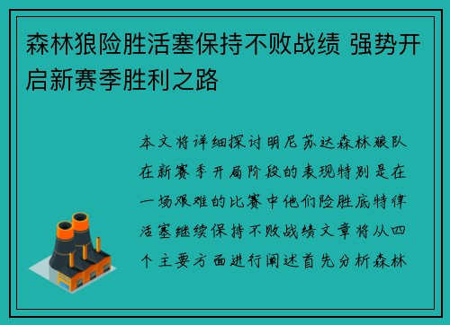 森林狼险胜活塞保持不败战绩 强势开启新赛季胜利之路