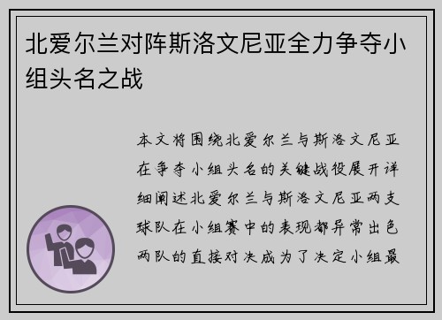 北爱尔兰对阵斯洛文尼亚全力争夺小组头名之战